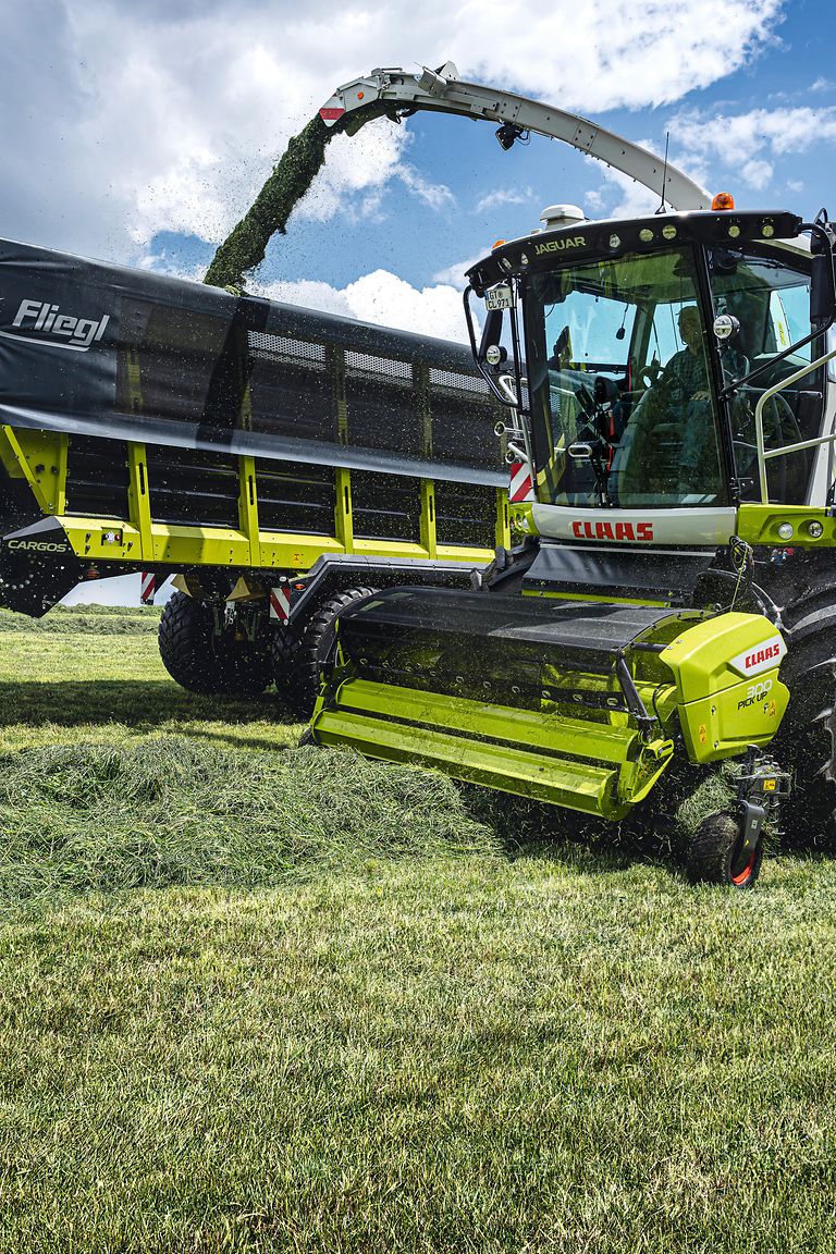 737327_25