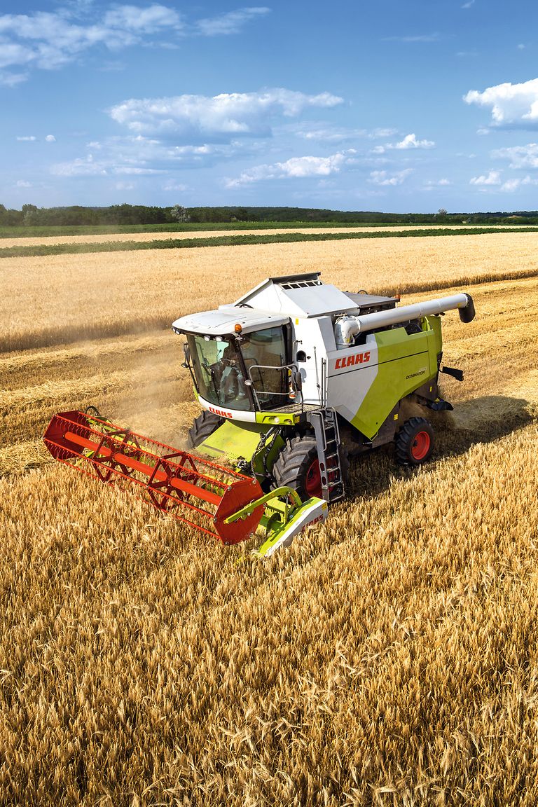 image-pic image-pic