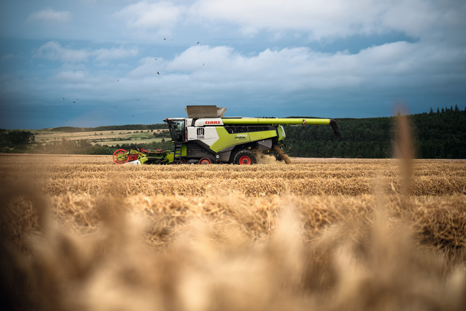 undefined undefined