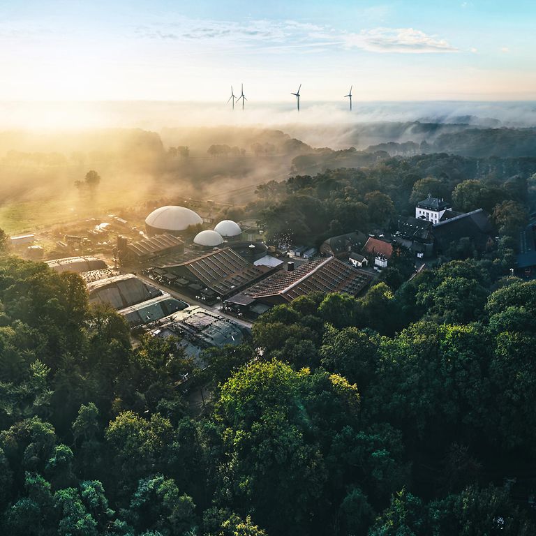 889061_25