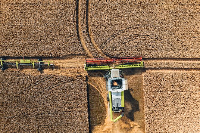 902155_27
