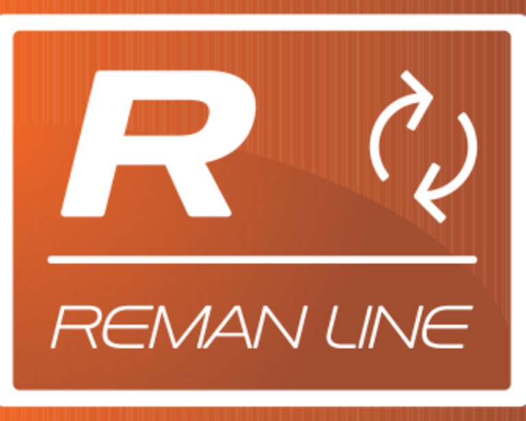 149911_1_REMAN Neu_data REMAN LINE Label
