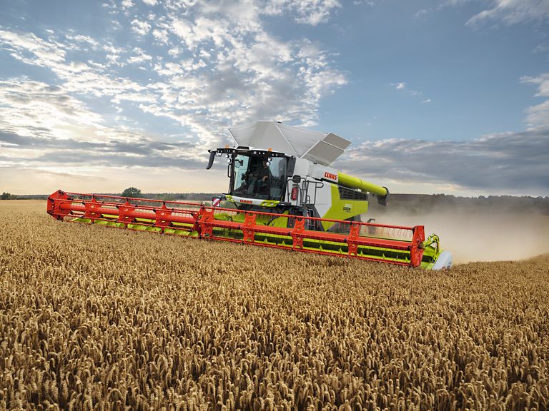 LEXION 8900 TERRA TRAC podczas zbioru pszenicy za pomocą przyrządu żniwnego VARIO 13,80.
