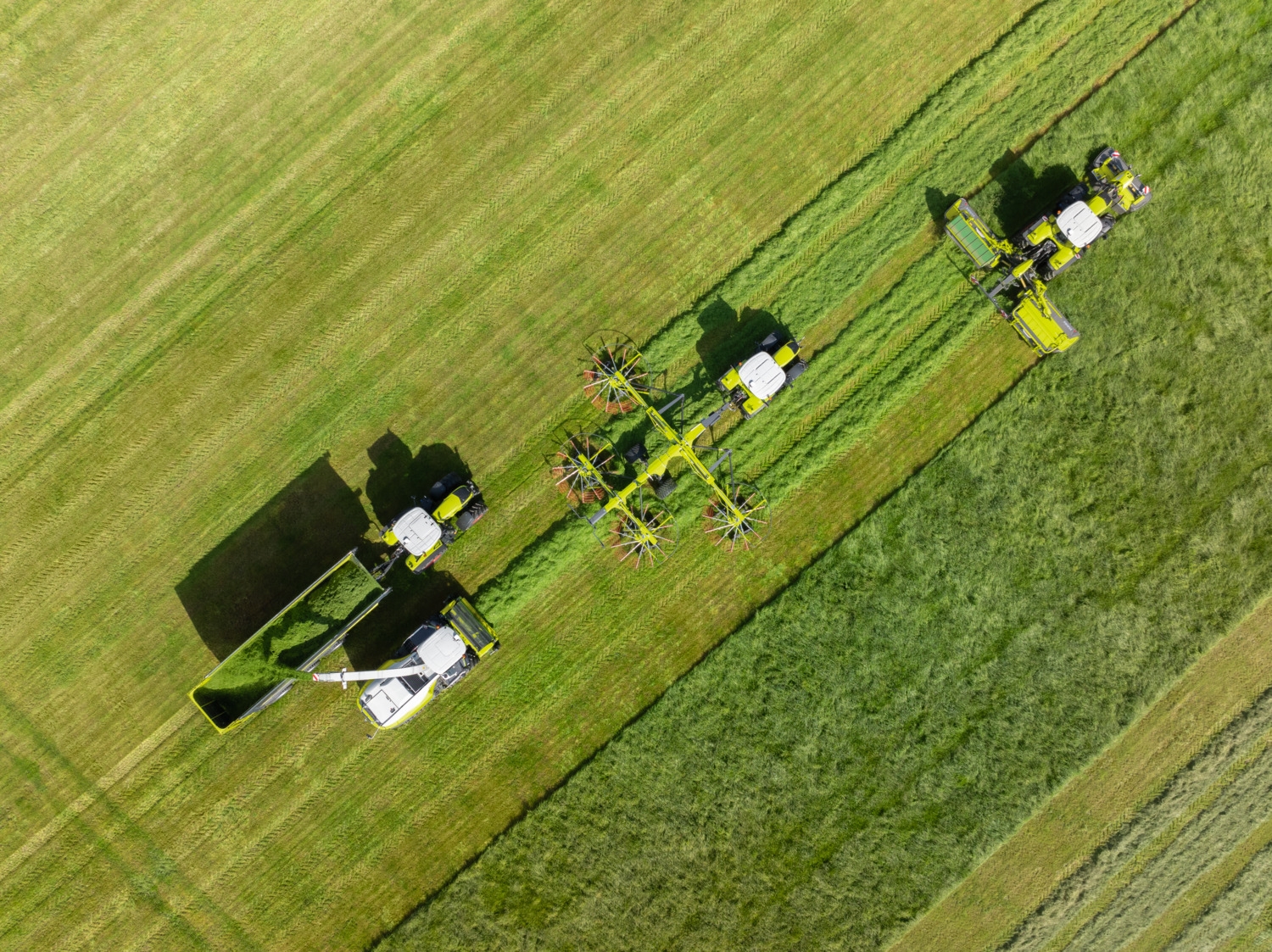 undefined undefined