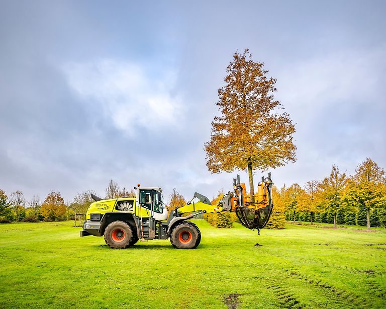 251015_DSC1363_CLAAS_Torion_1025©OlafTammFOTO
