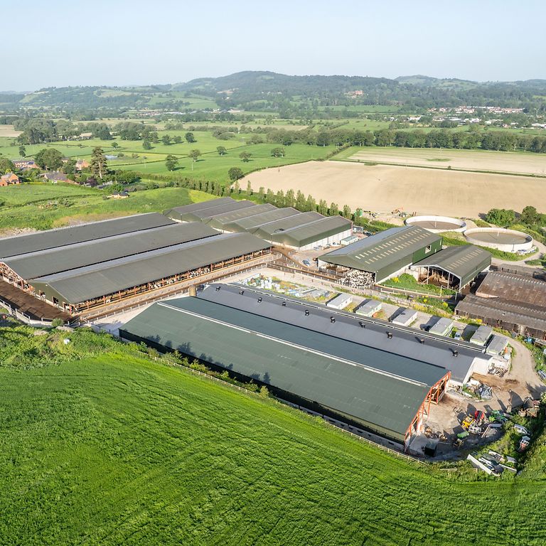 Farm profile