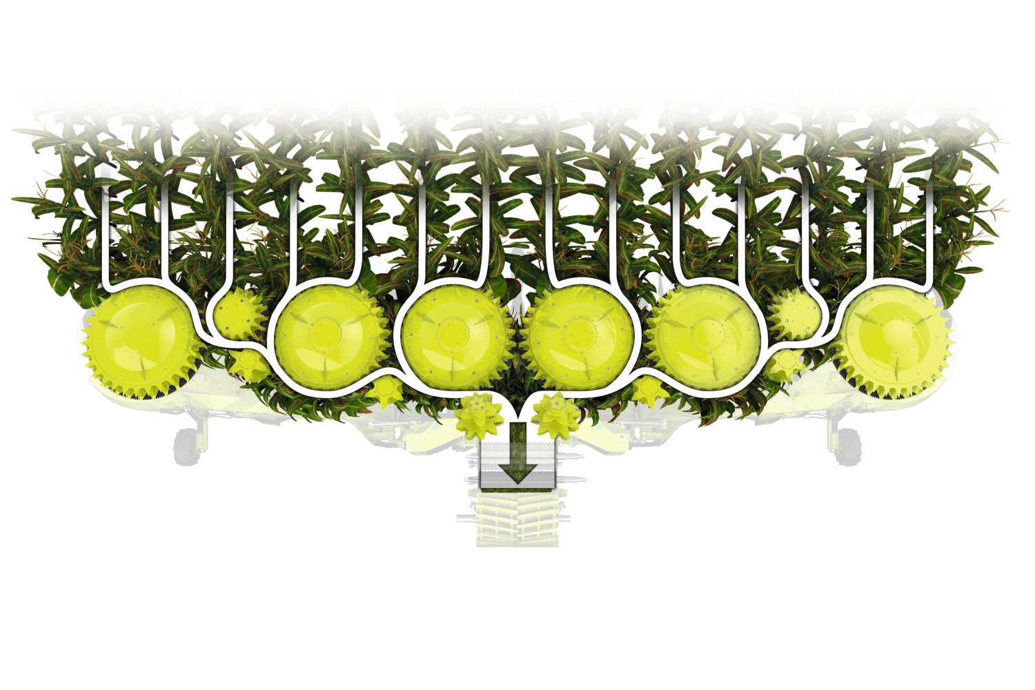 undefined undefined