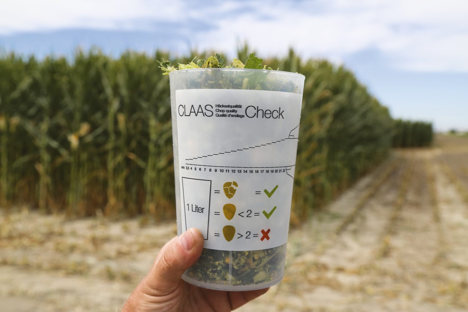 undefined undefined