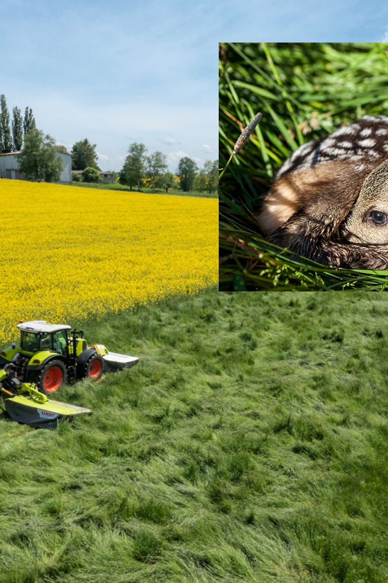 image-article-1-pic image-article-1-pic