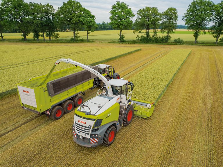 431972_27