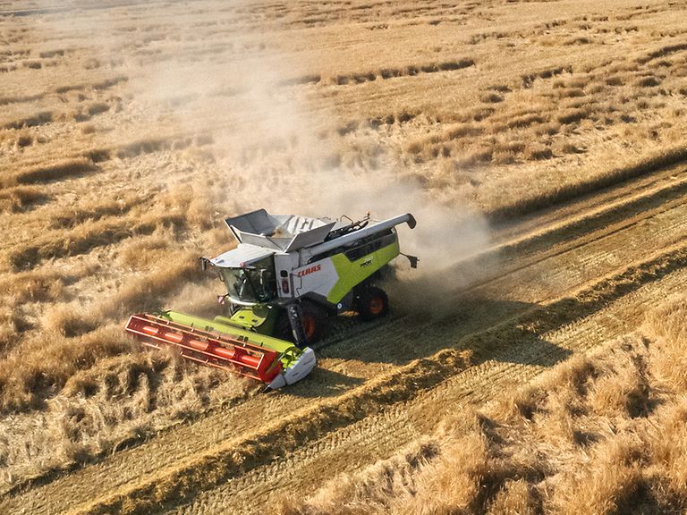 434219_25 TRION with MAXFLEX harvesting barley.