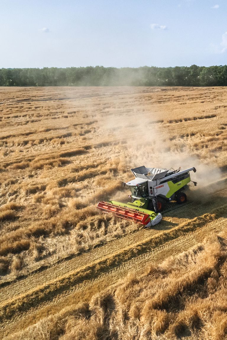 434219_25 TRION with MAXFLEX harvesting barley.