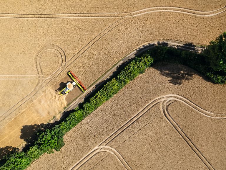 468655_27 LEXION 8900 harvesting wheat with CONVIO FLEX.
