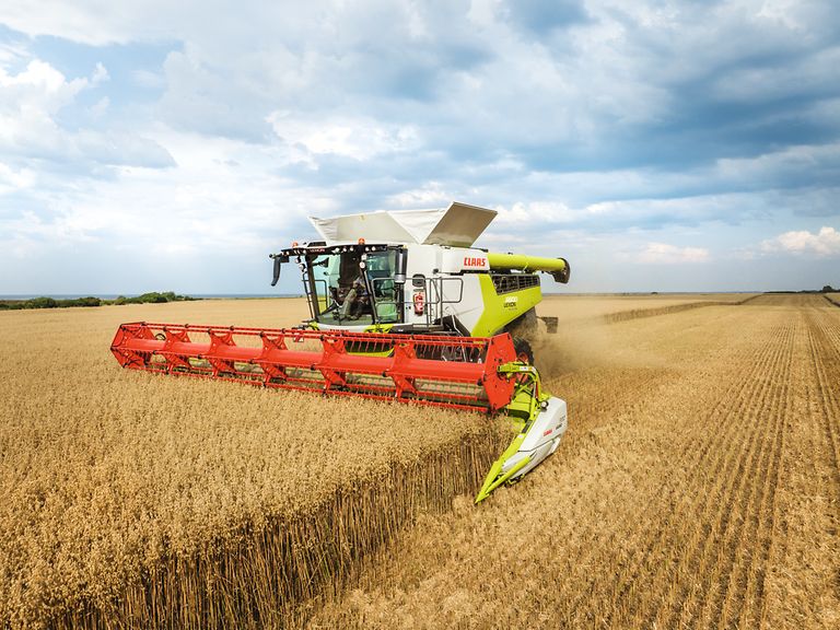 469576_27 LEXION 6900 TERRA TRAC harvesting oats with VARIO 930 cutterbar.
