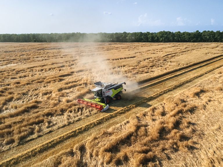 The TRION is able to harvest laid crops.