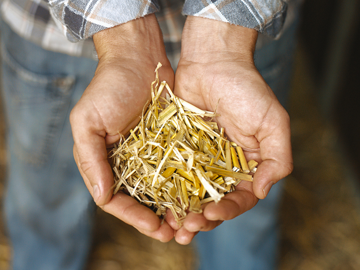 undefined undefined