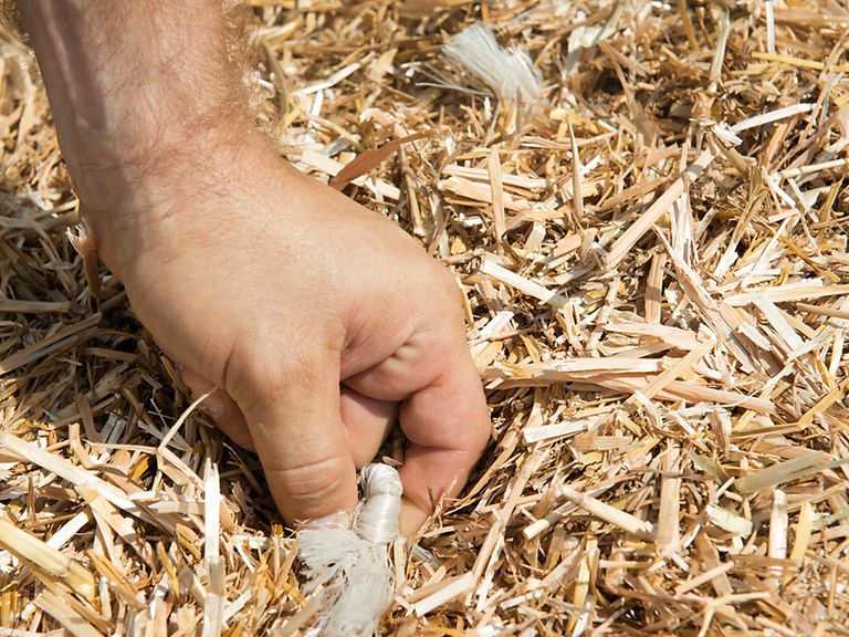 248756_27