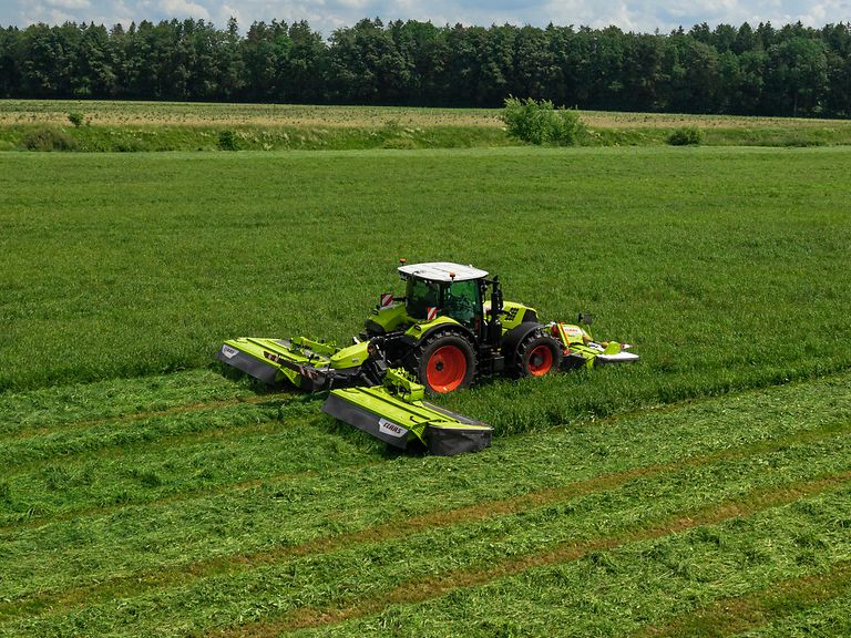 500316_25