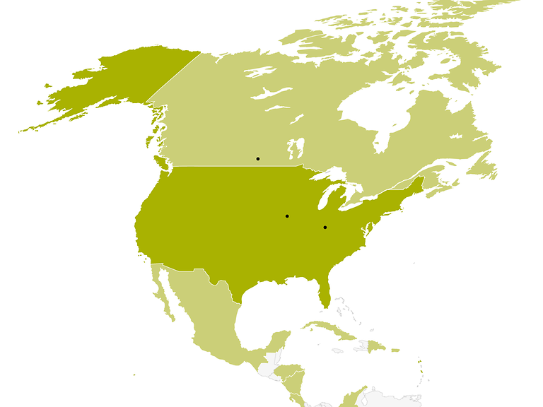 North America