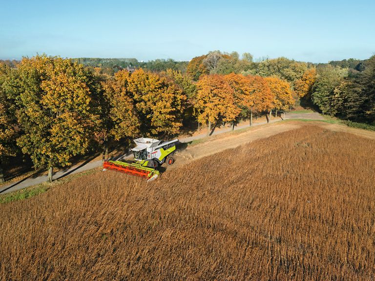 443949_27 TRION 730 CONVIO FLEX 770で大豆を収穫。