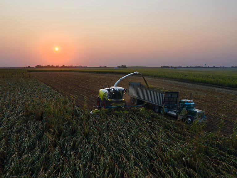TCO