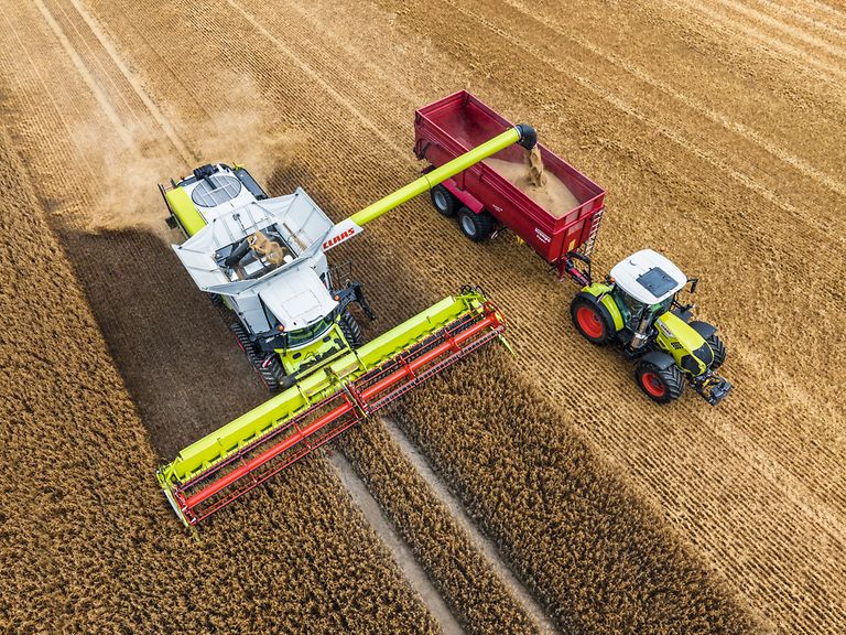 469563_27 Skörd av havre med LEXION 6900 och CONVIO FLEX 1080, med traktor och följevagn.
