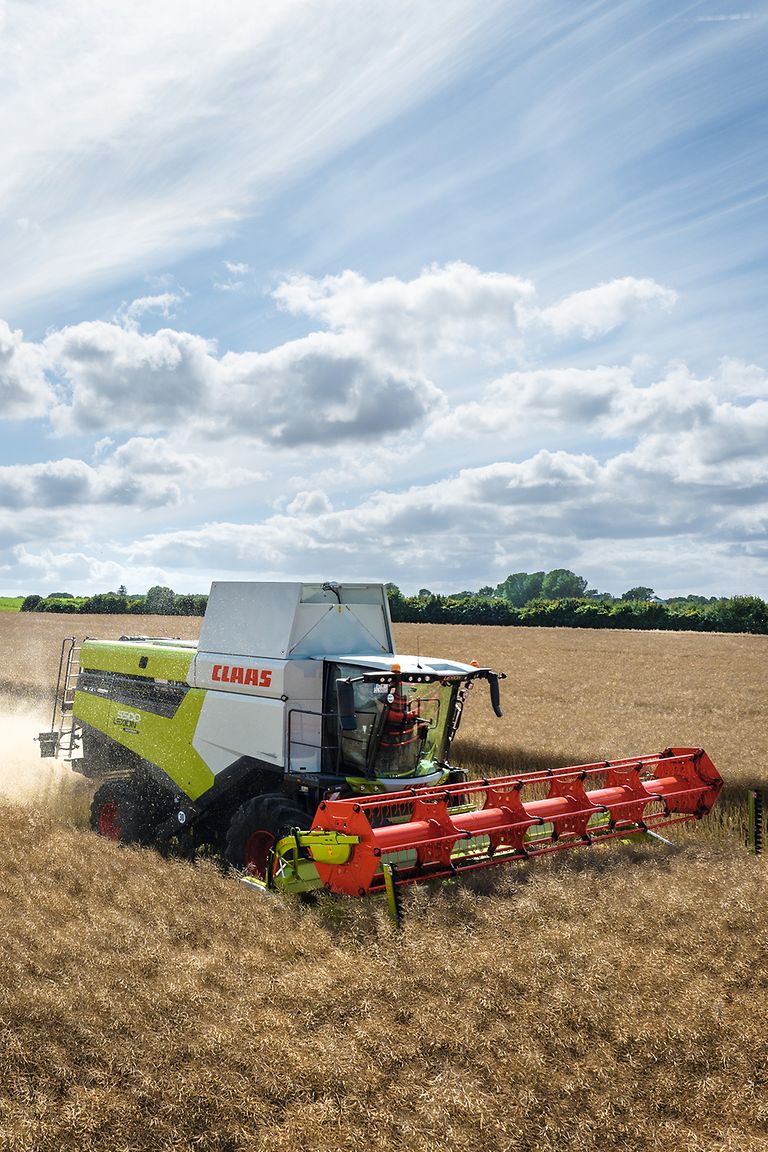 467778_27 LEXION 5500 pri zbere repky.
